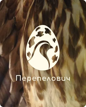 Логотип перепелиной фермы Перепелович